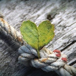 Meet your Posher, Kari